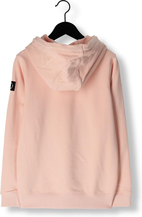 RELLIX Jongens Truien & Vesten Hooded Lichtroze - Foto 2