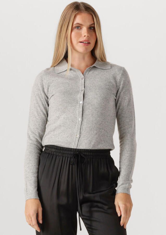 RESORT FINEST Dames Truien & Vesten Polo Short Cardigan Lichtgrijs - Foto 4