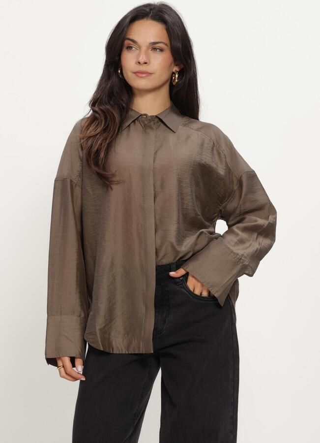 ROUGE EDIT Dames Blouses Roualinina Mae L s Oversized Shirt Taupe