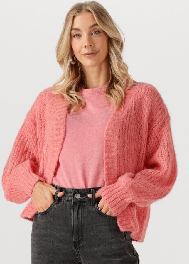 ROUGE EDIT Dames Truien & Vesten Roubanu Ls Open Cardigan Roze - Foto 4