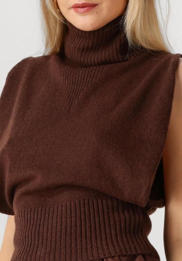 ROUGE EDIT Dames Truien & Vesten Roucleo Roll Neck Knit West Bruin