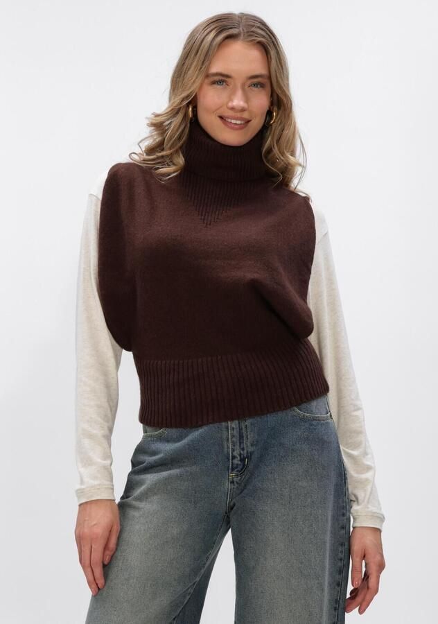 ROUGE EDIT Dames Truien & Vesten Roucleo Roll Neck Knit West Bruin