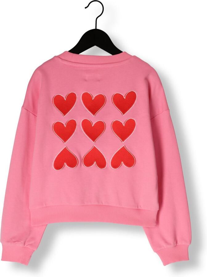 Salty Stitch Meisjes Truien & Vesten Salty Sweater Hearts Roze