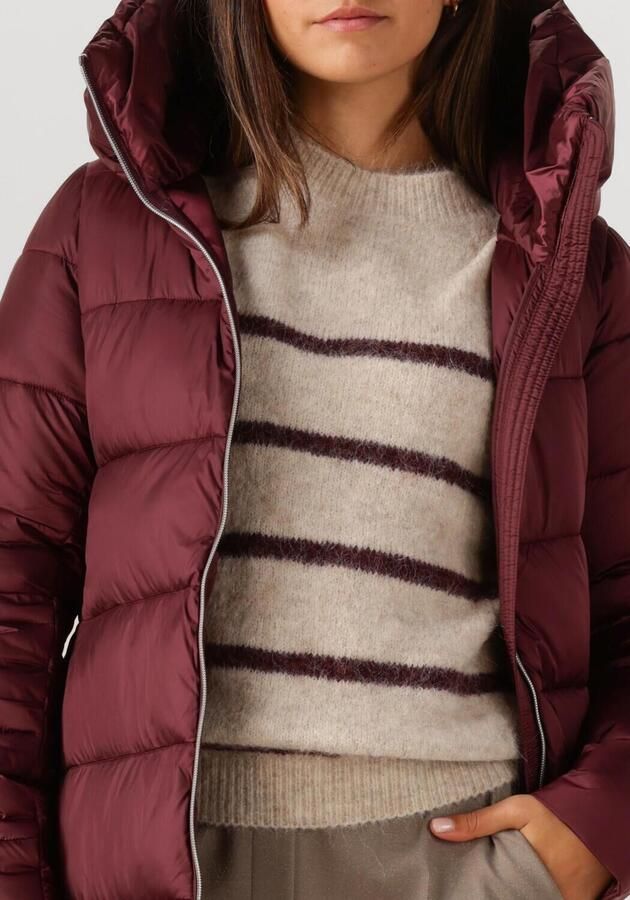 SAVE THE DUCK Dames Jassen Lysa Bordeaux - Foto 2