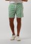 SCOTCH & SODA Heren Zwembroeken Mid Length Batik Stripe Printed Swimshort Groen - Thumbnail 1