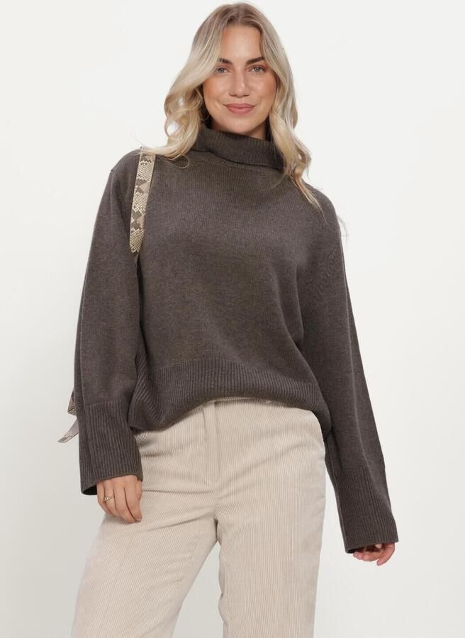 SECOND FEMALE Dames Truien & Vesten Alpha Knit T-neck Bruin
