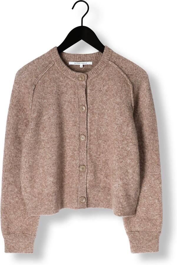 SECOND FEMALE Dames Truien & Vesten Banja Knit Raglan Cardigan Bruin - Foto 3
