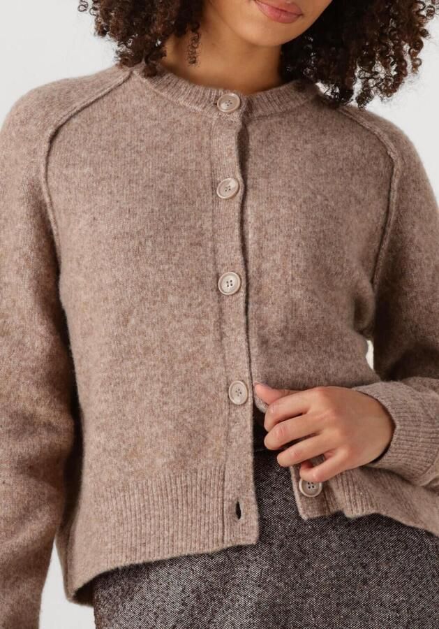 SECOND FEMALE Dames Truien & Vesten Banja Knit Raglan Cardigan Bruin - Foto 2