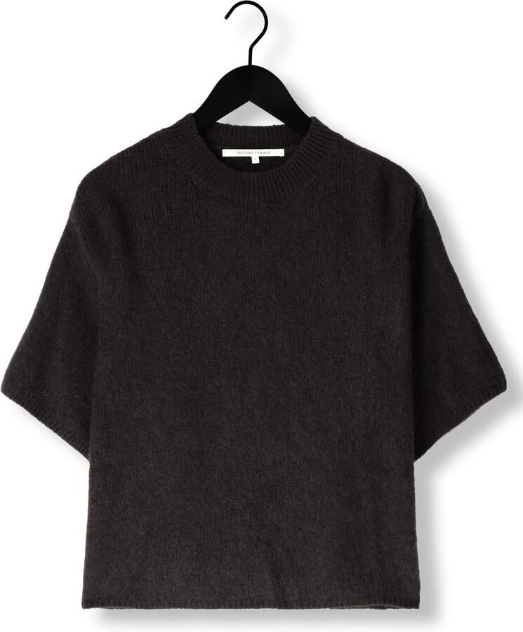 SECOND FEMALE Dames Truien & Vesten Wanda Knit O-neck Donkergrijs