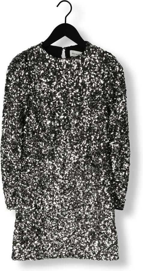 SELECTED WOMEN Dames Jurken Slfcolyn Ls Short Sequins Dress Zilver - Foto 3