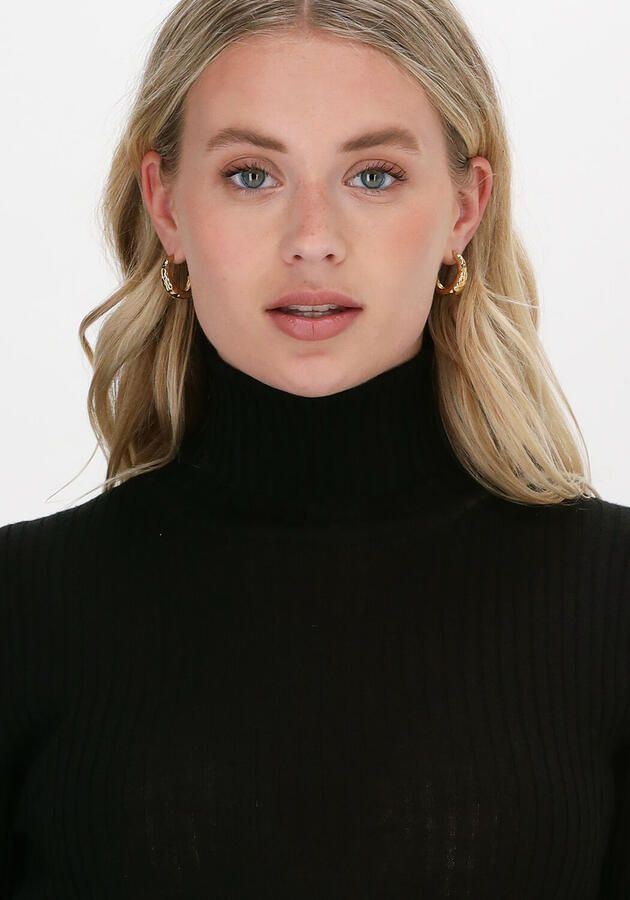 SELECTED FEMME Dames Truien & Vesten Slfcostina Ls Knit Rib Rollnec Zwart - Foto 2