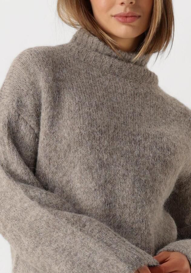 SELECTED WOMEN Dames Truien & Vesten Slfgabella Ls Knit High-neck Grijs - Foto 2