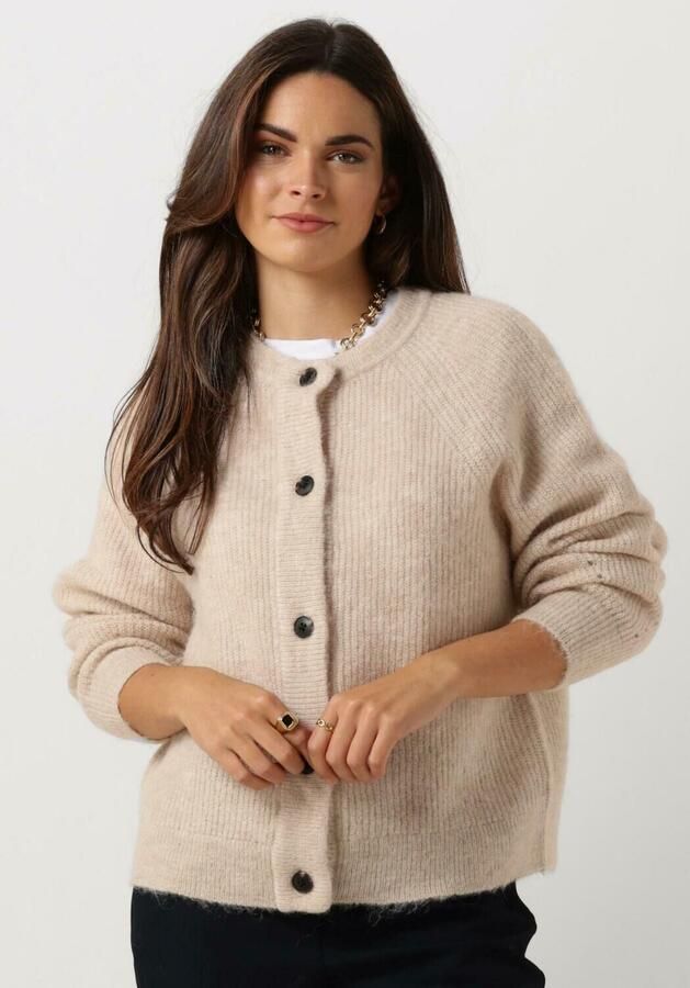 SELECTED WOMEN Dames Truien & Vesten Slflulu Ls Knit Short Cardigan Beige - Foto 4