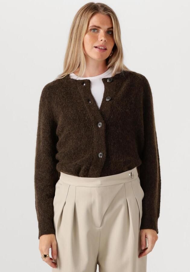 SELECTED FEMME Dames Truien & Vesten Slflulu Ls Knit Short Cardigan Bruin - Foto 4