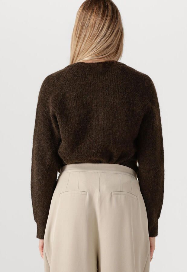 SELECTED FEMME Dames Truien & Vesten Slflulu Ls Knit Short Cardigan Bruin - Foto 3