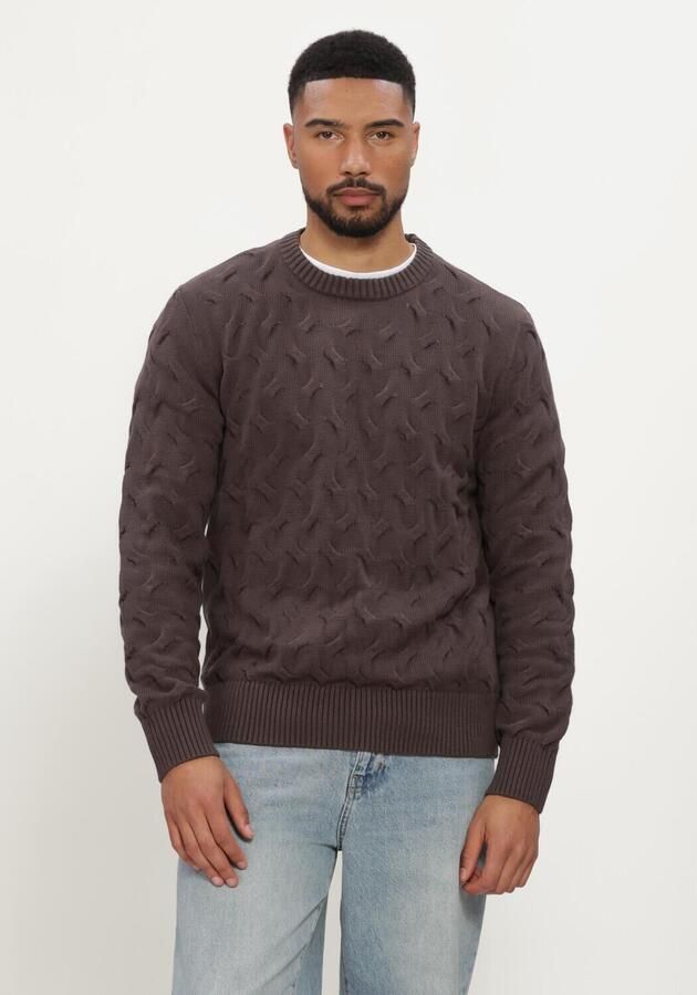 SELECTED MEN Heren Truien & Vesten Slmcarlos Ls Cable Crew Neck Bruin
