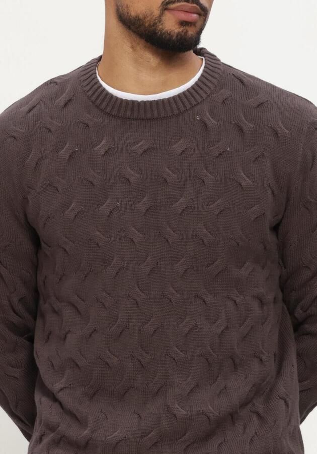 SELECTED MEN Heren Truien & Vesten Slmcarlos Ls Cable Crew Neck Bruin - Foto 4