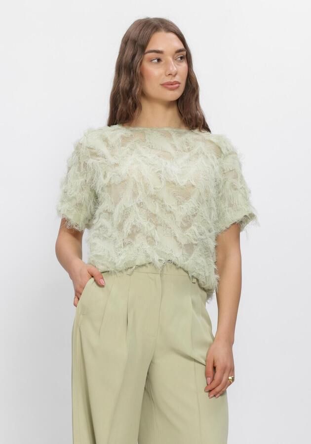 SELECTED WOMEN Dames Tops & T-shirts Slfmyline Ss Boat Neck Top Mint
