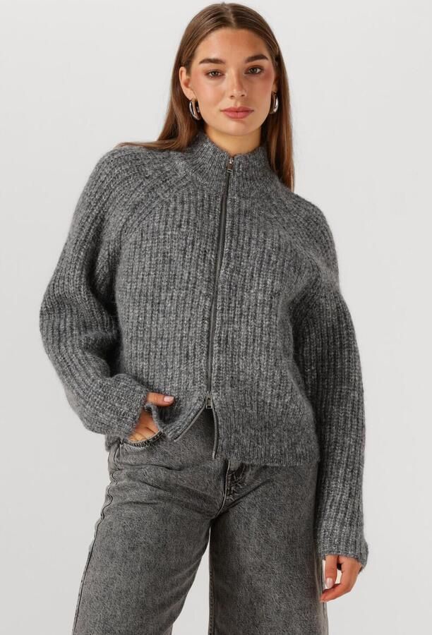 SELECTED WOMEN Dames Truien & Vesten Slfanjuli Ls Knit Zip Cardigan Grijs - Foto 4