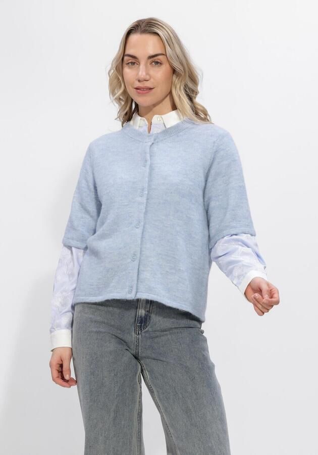 SELECTED WOMEN Dames Truien & Vesten Slflulu 2 4 Knit Cardigan Lichtblauw