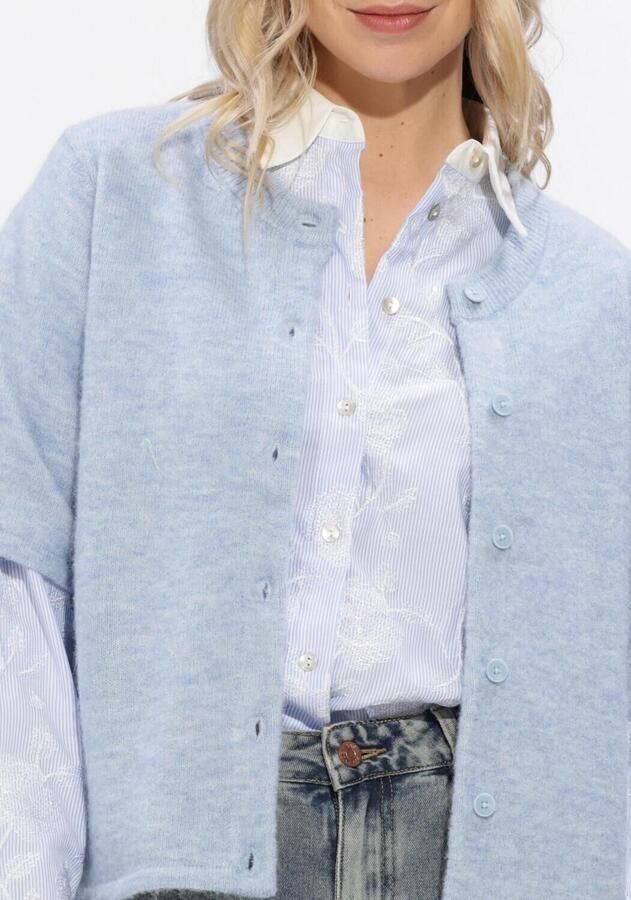 SELECTED WOMEN Dames Truien & Vesten Slflulu 2 4 Knit Cardigan Lichtblauw - Foto 3
