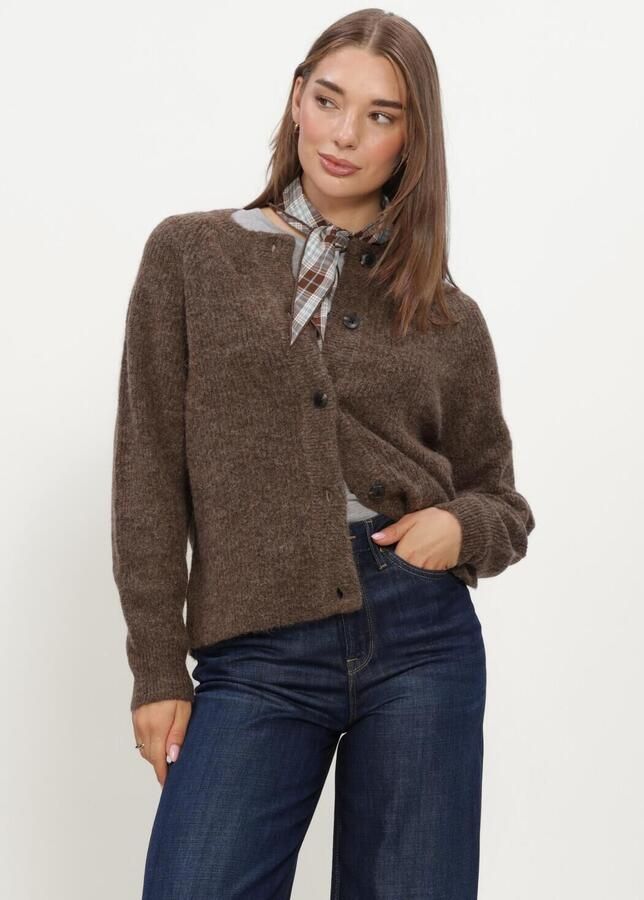SELECTED WOMEN Dames Truien & Vesten Slflulu Ls Knit Short Cardigan Bruin