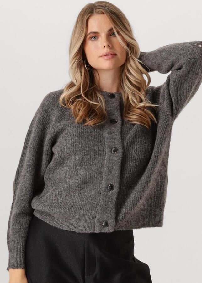 SELECTED WOMEN Dames Truien & Vesten Slflulu Ls Knit Short Cardigan Grijs - Foto 4