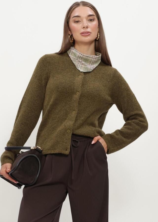 SELECTED WOMEN Dames Truien & Vesten Slflulu New Ls Knit Cardigan Groen