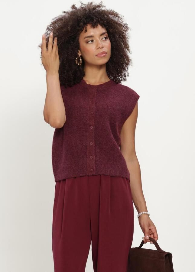 SELECTED WOMEN Dames Truien & Vesten Slflulu Sl Button O-neck Vest Bordeaux