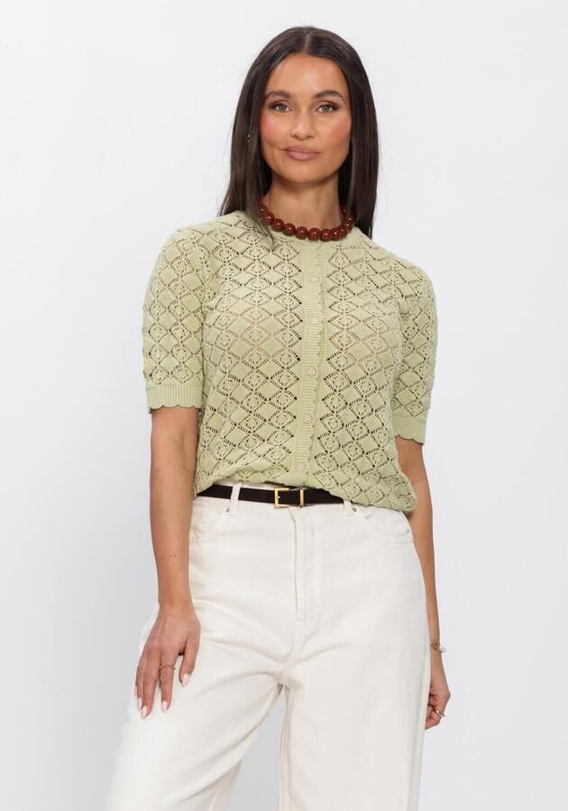 SELECTED WOMEN Dames Truien & Vesten Slfsofia 2 4 Knit Cardigan Groen
