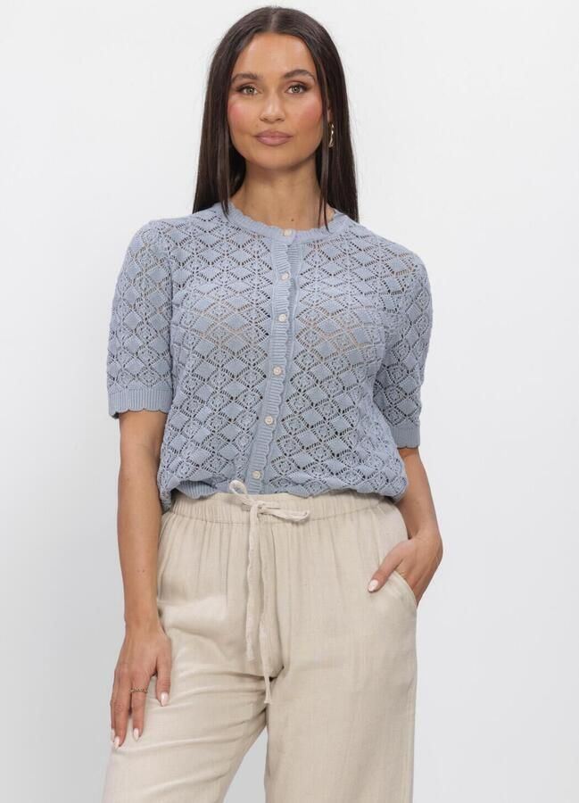 SELECTED WOMEN Dames Truien & Vesten Slfsofia 2 4 Knit Cardigan Lichtblauw