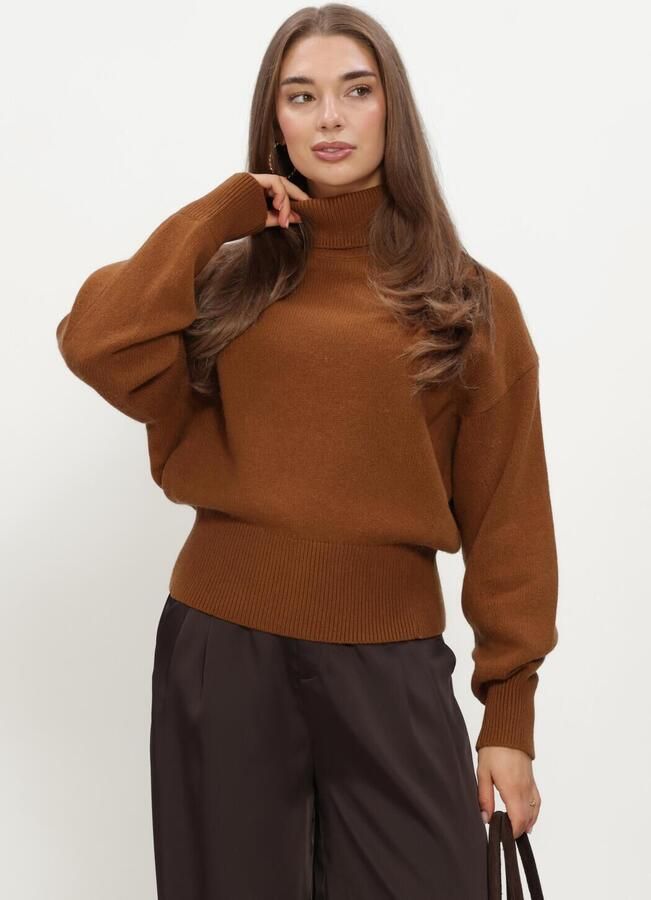 SELECTED WOMEN Dames Truien & Vesten Slwellie Ls Knit Roll Neck Bruin