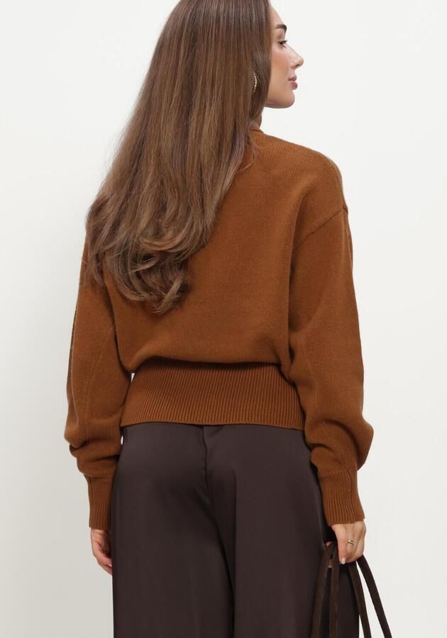 SELECTED WOMEN Dames Truien & Vesten Slwellie Ls Knit Roll Neck Bruin - Foto 2