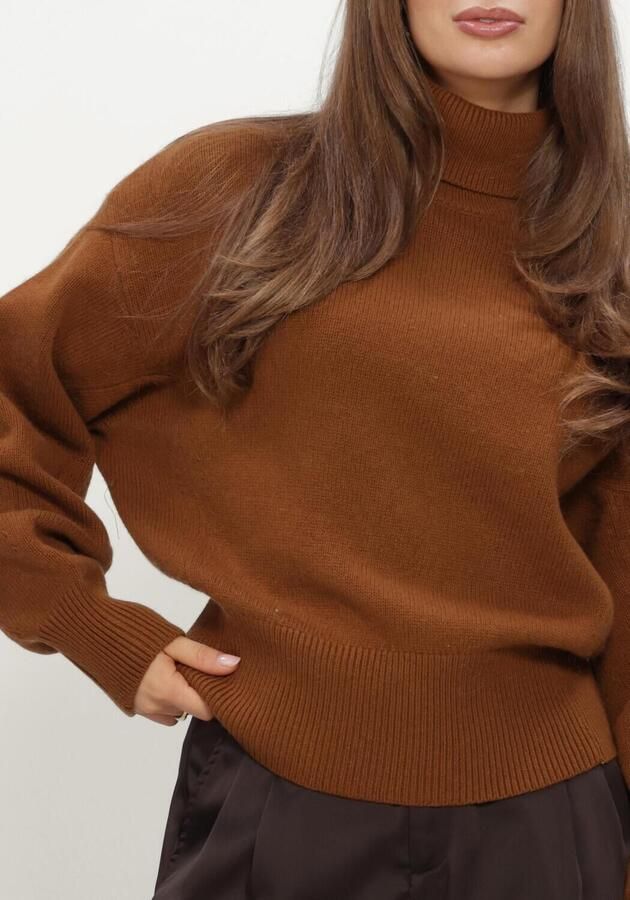 SELECTED WOMEN Dames Truien & Vesten Slwellie Ls Knit Roll Neck Bruin - Foto 3