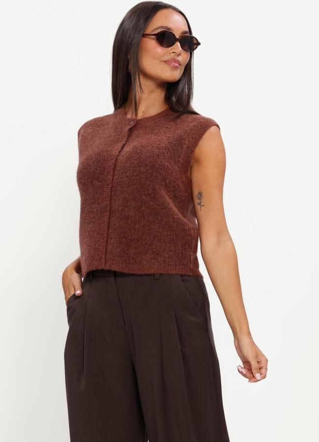 SELECTED WOMEN Dames Truien & Vesten Slwlulu Sl Button O-neck Vest Bruin