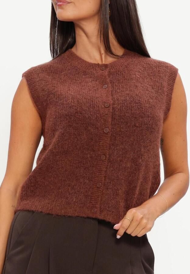SELECTED WOMEN Dames Truien & Vesten Slwlulu Sl Button O-neck Vest Bruin - Foto 3