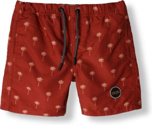 Shiwi Bruine Swimshort Scratched Palm