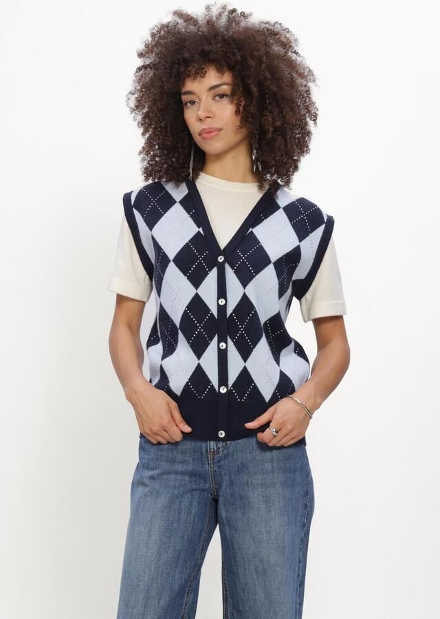 SILVIAN HEACH Dames Tops & T-shirts Sweatr Skera Donkerblauw