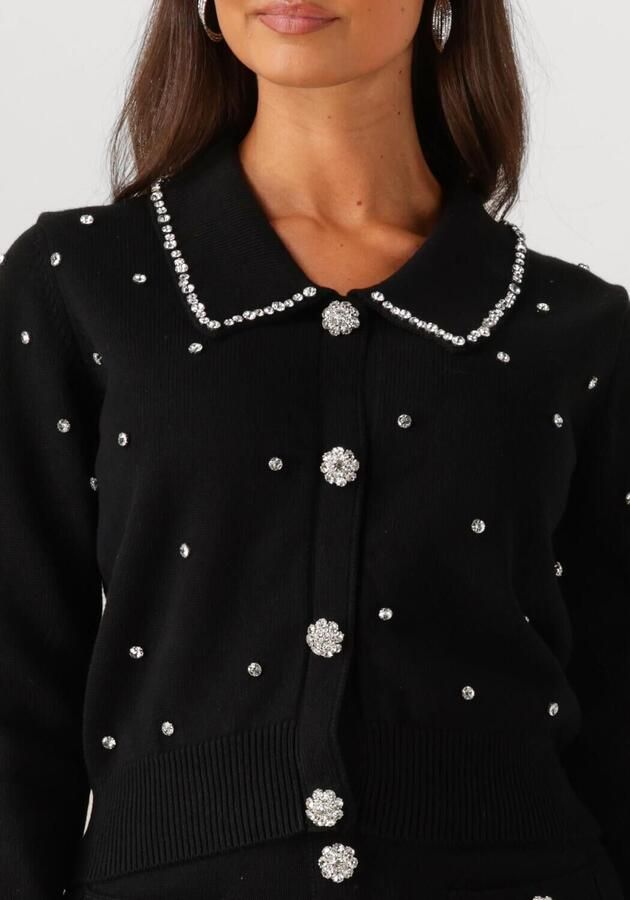 SILVIAN HEACH Dames Truien & Vesten Cardigan Nolley Zwart