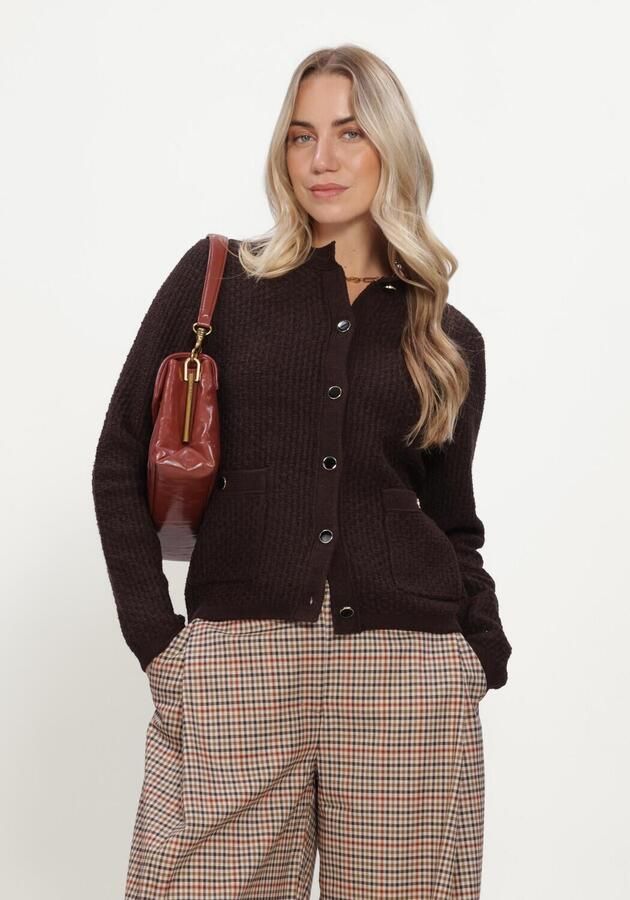 SILVIAN HEACH Dames Truien & Vesten Cardigan Ryana Bruin