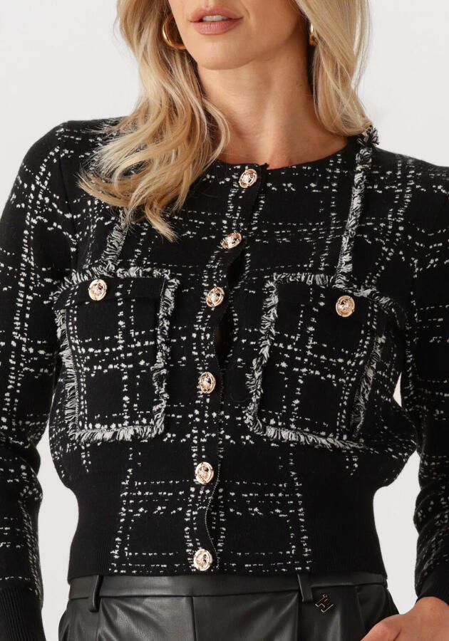 SILVIAN HEACH Dames Truien & Vesten Cardigan Saloniko Zwart - Foto 2