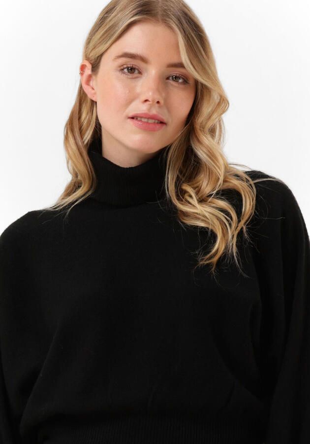 SILVIAN HEACH Dames Truien & Vesten Sweater Herb Zwart - Foto 3