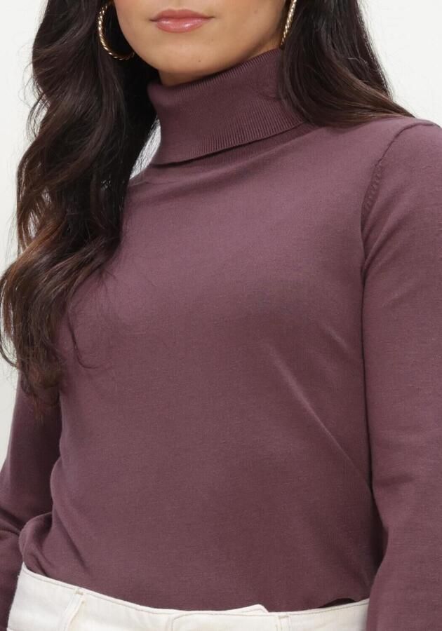 SILVIAN HEACH Dames Truien & Vesten Sweater Turtleneck Recik Bordeaux - Foto 3