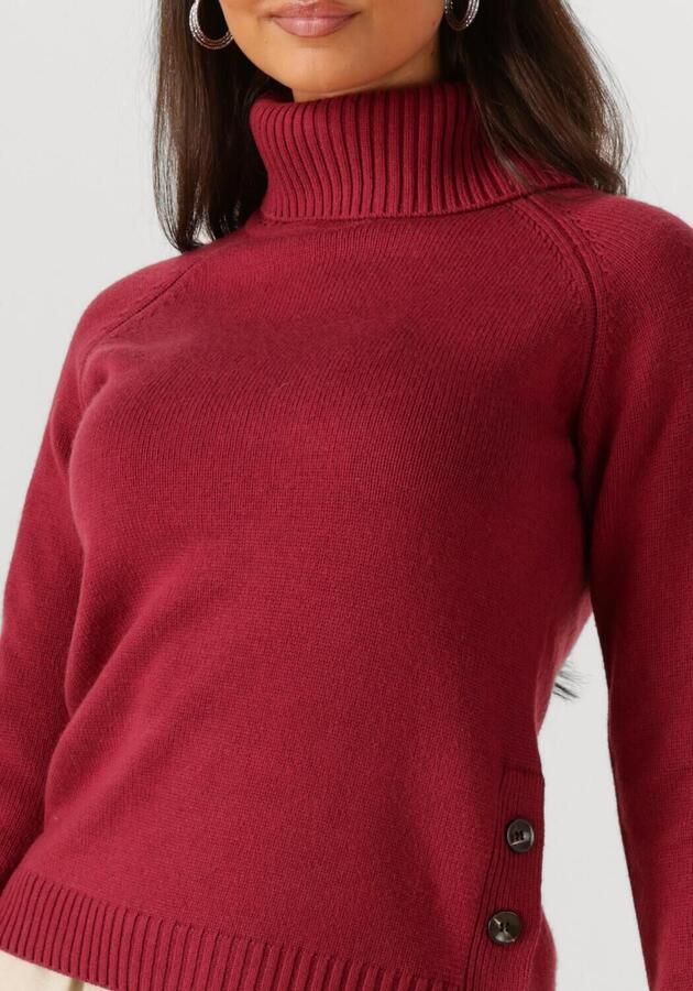 SILVIAN HEACH Dames Truien & Vesten Turte Neck Diouf Bordeaux