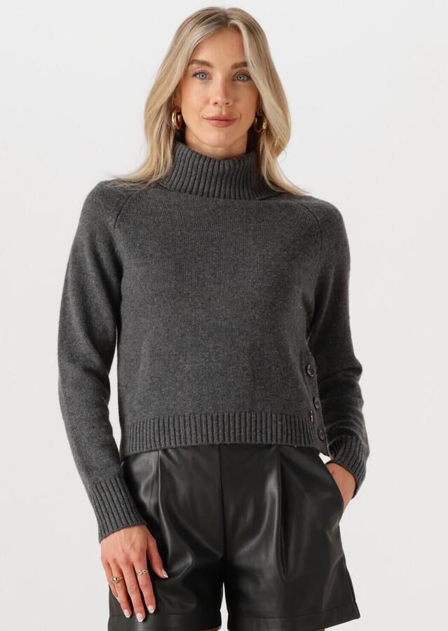 SILVIAN HEACH Dames Truien & Vesten Turte Neck Diouf Grijs - Foto 4