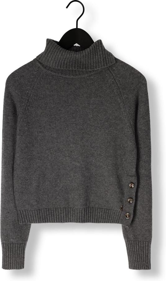 SILVIAN HEACH Dames Truien & Vesten Turte Neck Diouf Grijs - Foto 3