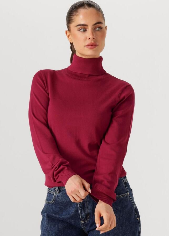 SILVIAN HEACH Dames Truien & Vesten Turte Neck Sesin Bordeaux - Foto 4