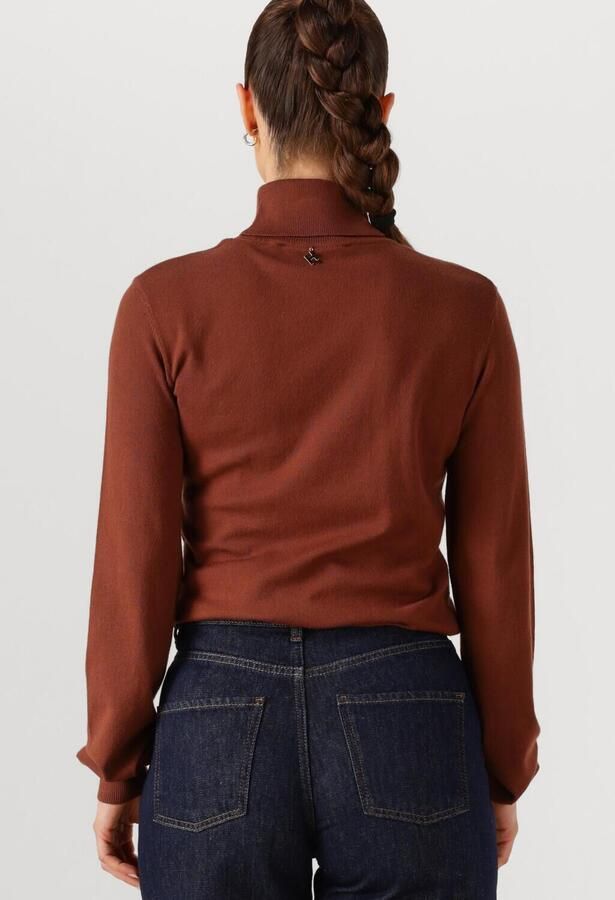 SILVIAN HEACH Dames Truien & Vesten Turte Neck Sesin Bruin - Foto 2