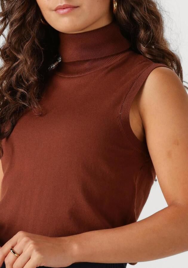 SILVIAN HEACH Dames Truien & Vesten Turtle Neck Warmy Cognac