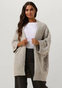 Simple Beige Vest Knit-bocc-23-1